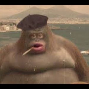 Meet your Posher, Jookson